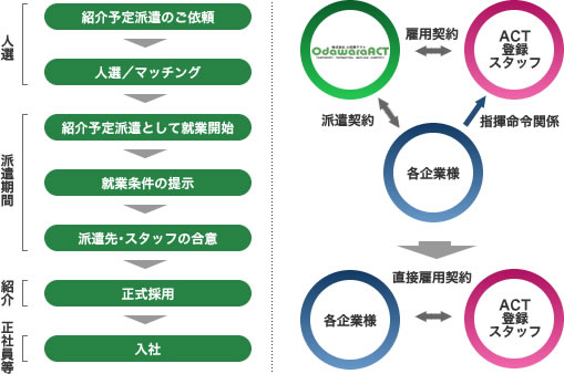 紹介予定派遣導入フロー